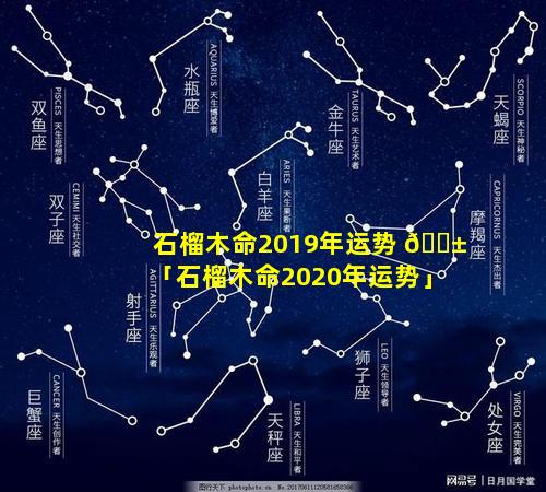 石榴木命2019年运势 🐱 「石榴木命2020年运势」